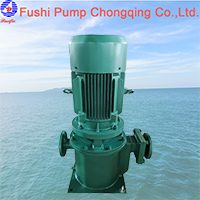 clz marine vertical general pump1.jpg